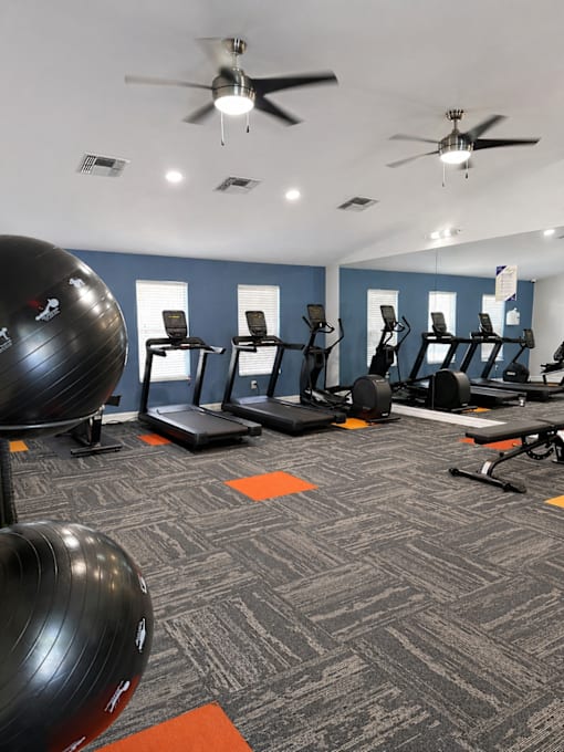 A gym with a variety of equipment including weights, a bench, and a ball.