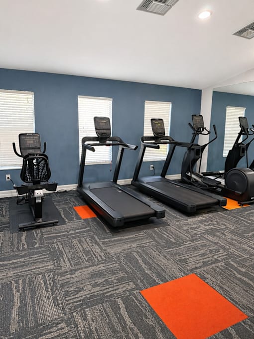 A gym with treadmills, elliptical machines, and weights.