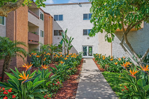 A pathway leads to a building with a green tree on the right.