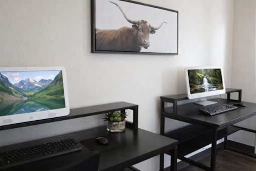 A black desk with two monitors and a picture of a bull on the wall.