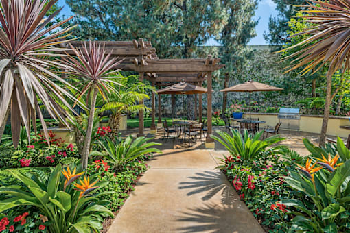 A garden with a walkway and a wooden pergola.