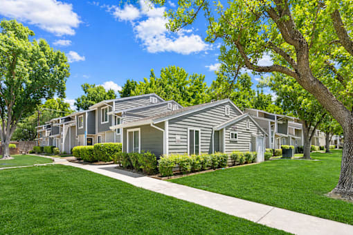 A row of houses with green trees in front.