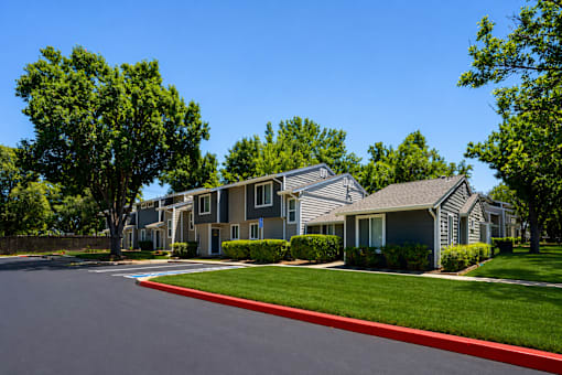 A row of houses with green trees in front.