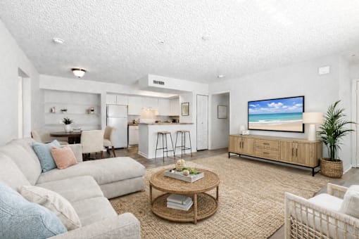 A living room with a sofa, a coffee table, and a television.