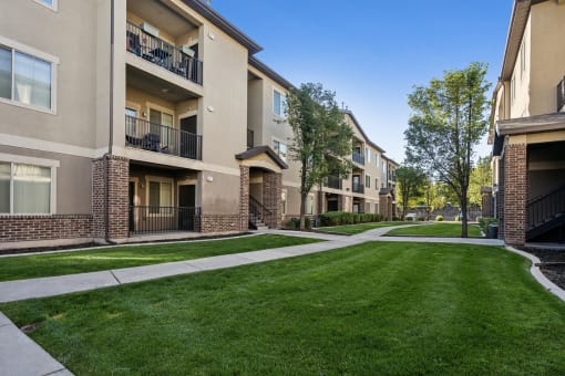 our apartments have a spacious courtyard with green grass and trees