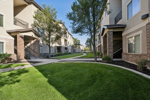 our apartments have a spacious courtyard with grass and trees