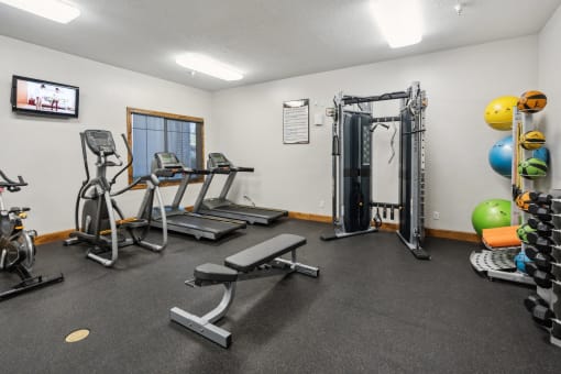 the gym with weights and cardio equipment at the apartments