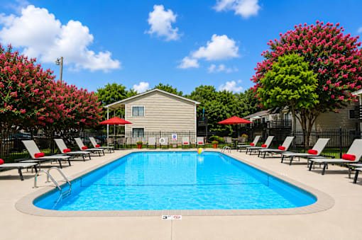 A pool surrounded by red umbrellas and lounge chairs.