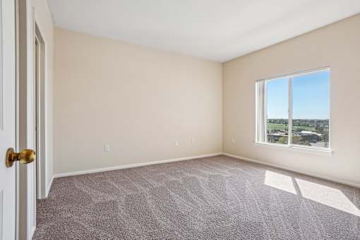 A room with a carpeted floor, a door, and a window.