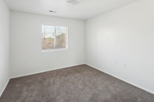 an empty room with carpet and a window