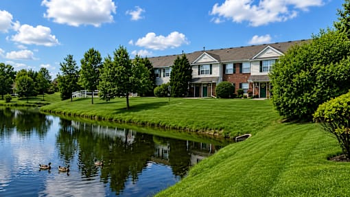 A serene lakeside view with a house and ducks.