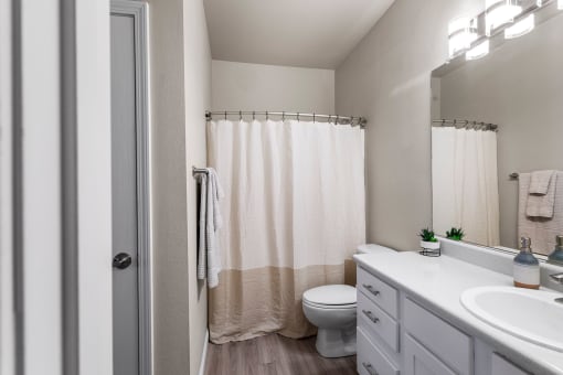 a bathroom with a shower and a toilet and a sink