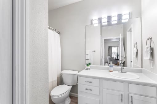 a bathroom with a toilet and a sink and a mirror