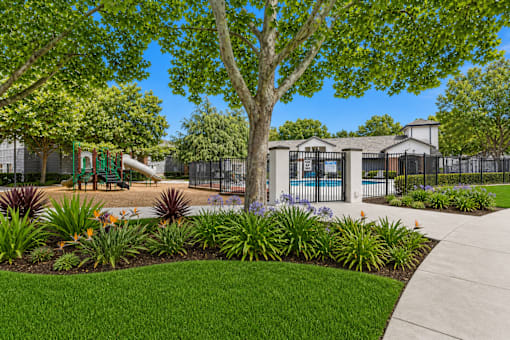 A green tree in front of a building.