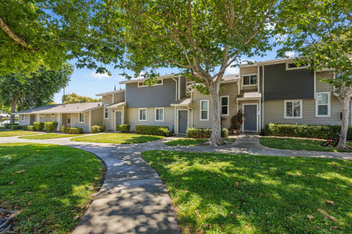 a tree lined sidewalk in front of an apartment building