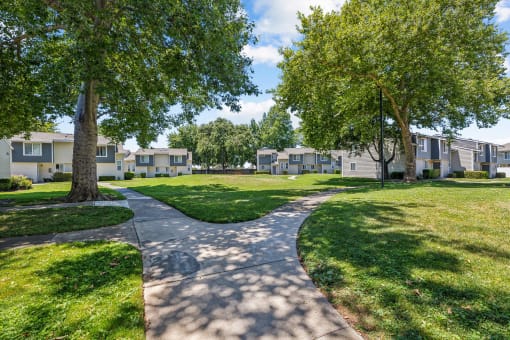 a pathway through a park with green grass and trees