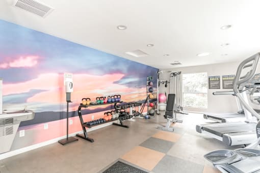 a home gym with a colorful mural on the wall