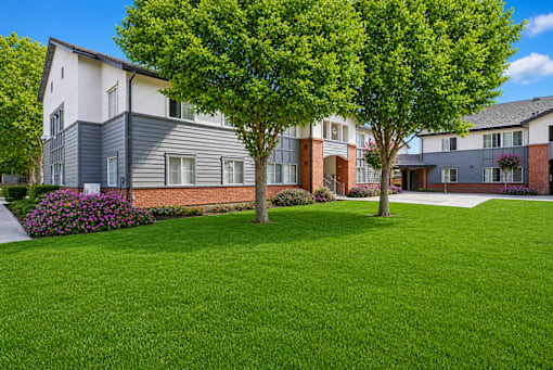 A tree stands in front of a building with a lawn in the foreground.