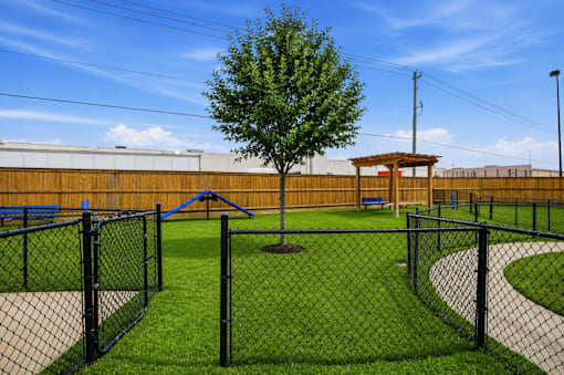 A tree stands in the middle of a playground surrounded by a black fence.