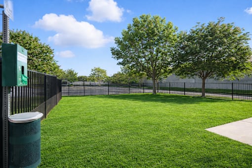 A green grassy area with a fence and trees in the background.