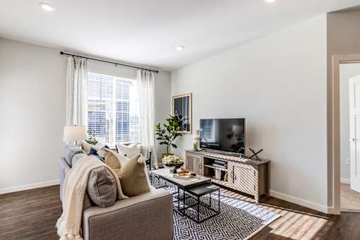 A living room with a grey couch, a coffee table, a television, and a window with white curtains.