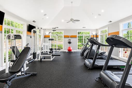 A gym with treadmills, weights, and a red ball.