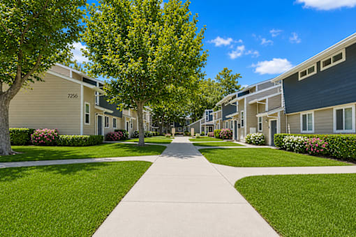 A tree-lined walkway leads to apartment buildings.
