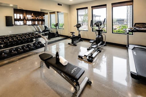 A gym with a row of treadmills and a rack of dumbbells.