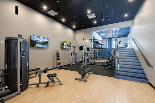 A gym with a variety of equipment including a treadmill, weights, and a bench press.