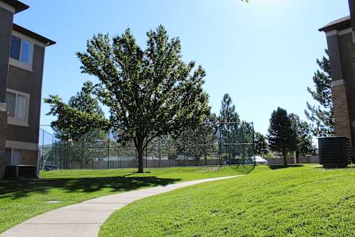 a sidewalk leading to a park with a tree and a chain link fence