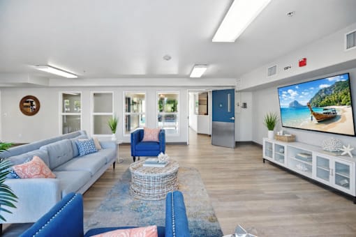 A living room with a grey sofa and a blue armchair.