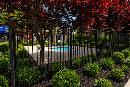 A pool surrounded by a black fence and red leaves.