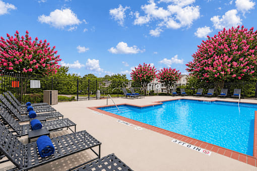 A pool surrounded by chairs and flowers.