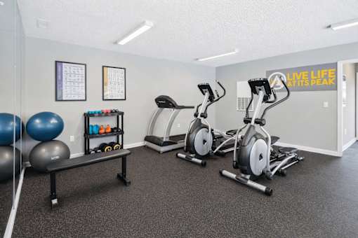 Fitness center with cardio equipment and weights at Davidson Homes Apartments, Concord, NC