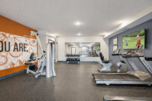 A gym with treadmills, exercise bikes, and a television playing golf.