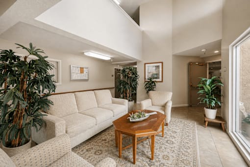 A living room with a couch, chair, and potted plants.