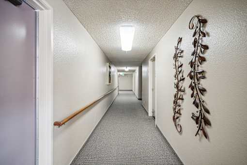A long hallway with a light on the ceiling and a plant on the wall.