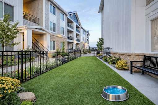 Pet friendly courtyard with artificial turf at Connect at First Creek Apartments, Denver, 80249