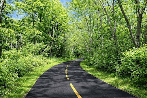 A winding road with yellow lines in the middle surrounded by green trees.