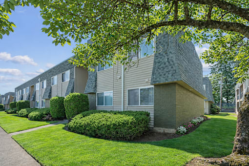 A row of houses with green bushes in front.