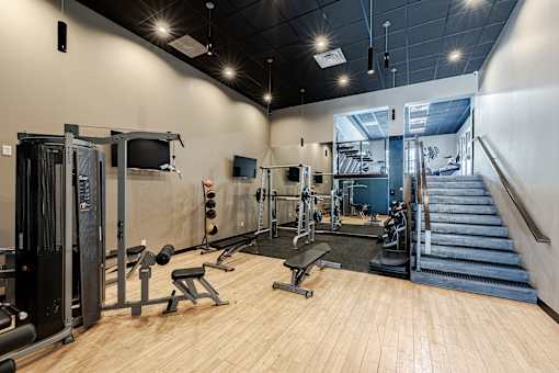 A gym with a variety of equipment including a treadmill, weights, and a bench press.