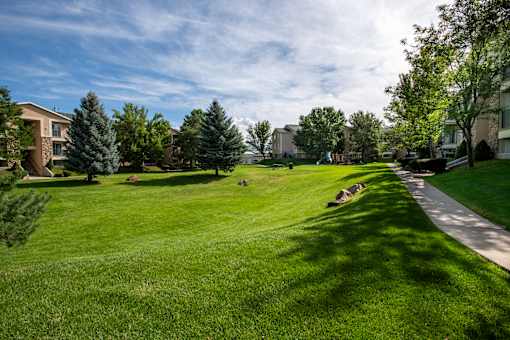 A grassy field with a walking path and trees in the background.