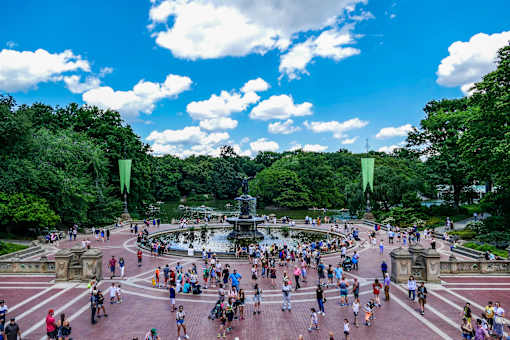 A large group of people are gathered in a park.