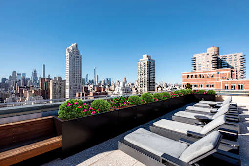 Rooftop views