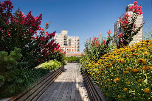 A wooden walkway with a variety of flowers on either side.
