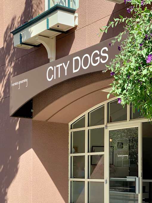 A storefront with a sign that says City Dogs.
