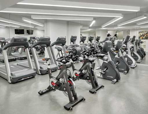 A gym with treadmills and stationary bikes.