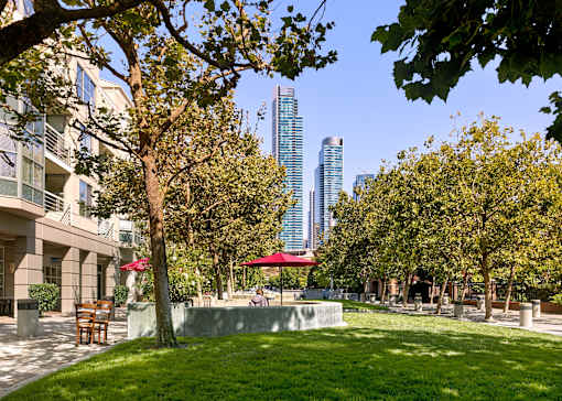 A park with trees and a bench in the foreground and apartment buildings in the background.