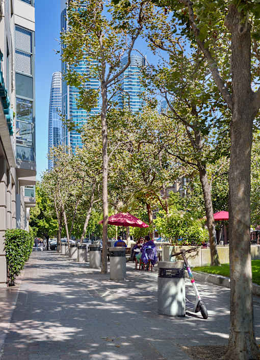 A tree-lined sidewalk with people sitting at tables under umbrellas.