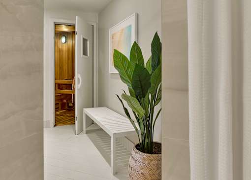 A room with a plant, a bench and a door.